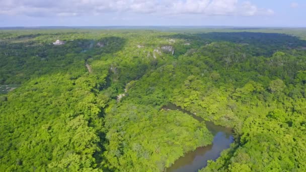 ドミニカ共和国の太陽の下で緑豊かな森林景観とユマ川の上空を飛行 — ストック動画