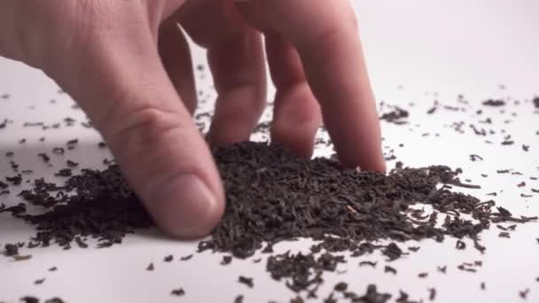 Рука Відчуває Текстуру Чайних Гранул Білому Тлі Крупним Планом — стокове відео