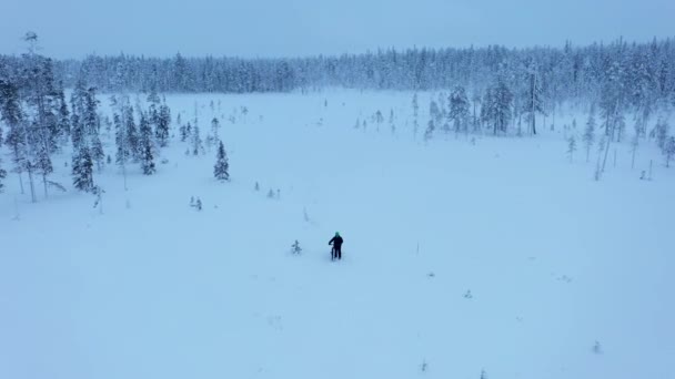 Vista Aérea Seguindo Uma Pessoa Mtb Ciclismo Florestas Inverno Sombrias — Vídeo de Stock