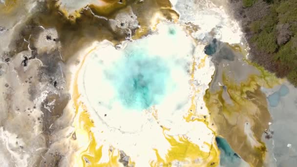 Beautiful Emerald Steaming Hot Spring Orakei Koraku Colorful Natural Geothermal — Stock Video