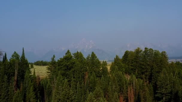 Aerial Drone Landscape Nature Shot Passing Tops Pine Trees Revealing — Vídeos de Stock