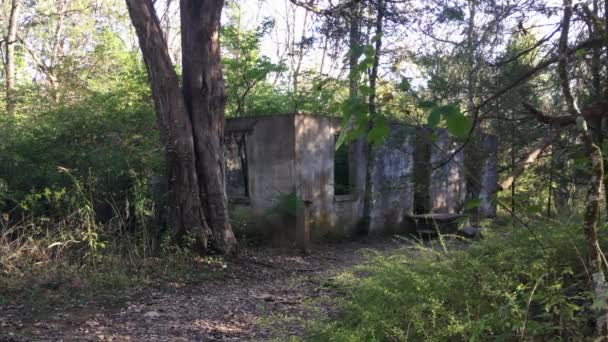 Mirando Por Camino Bosque Día Soleado Antiguo Edificio Hormigón Ruinas — Vídeo de stock