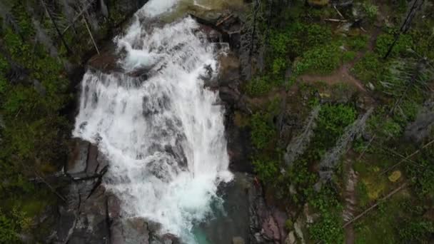 Widok Lotu Ptaka Wodospad Virginia Falls Krajobrazie Parku Narodowego Glacier — Wideo stockowe