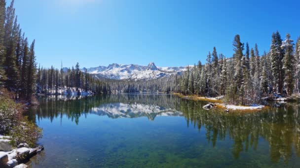 Snowy Mountains Frosty Forest Reflecting Surface Clear Sunny Lake Mamie — Stock Video