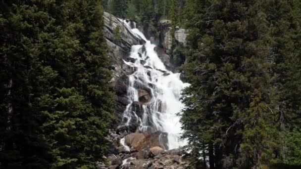 アメリカのワイオミング州にあるグランド テトン国立公園のハイキングで 隠れた滝のショットを傾斜させる美しい自然 暑い夏の日に — ストック動画