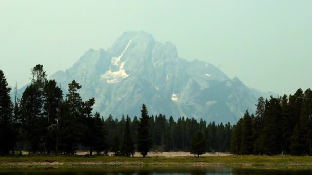 自然の風景コルターベイ近くのハイキングで壮大なグランドトン国立公園の山脈のスローモーションショット 湖はユリのパッドで満たされ 漠然とした日に松の木に囲まれています — ストック動画