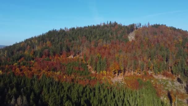 Lecące Kierunku Wzgórza Kolorowym Lasem Jesiennym Mieszanym Słoneczne Błękitnym Niebem — Wideo stockowe