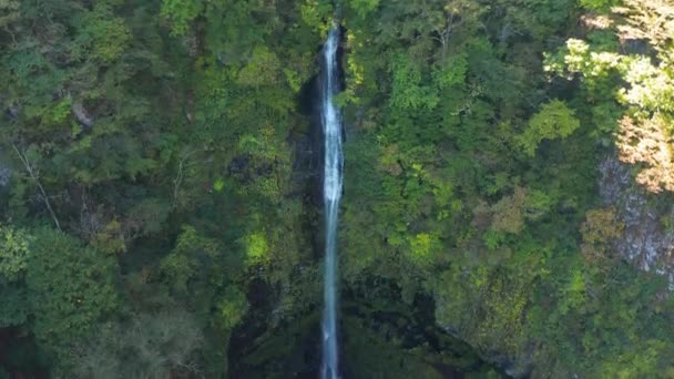 Chutes Amidaga Vue Aérienne Inclinaison Vers Bas Dessus Montagne Gifu — Video