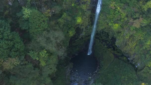 Gifu日本山区Amidaga瀑布的空中景观 — 图库视频影像