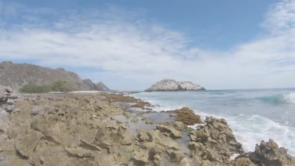 Rock Coral Con Spray Olas Rompiendo Piscinas Marea Playa Los — Vídeo de stock