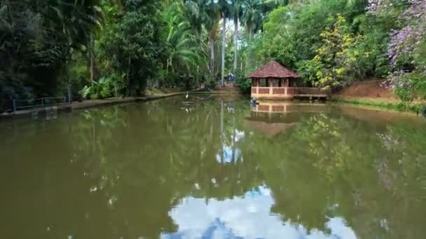 无人机飞过一个被树木环绕的村子里的一个小池塘 池塘上的一个小休息区 — 图库视频影像