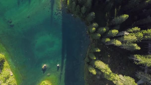 Drone Girato Guardando Oltre Bordo Degli Alberi Acqua Del Lago — Video Stock