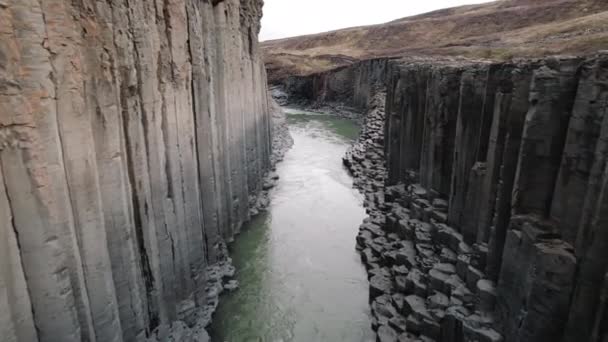 Dolly Powietrzna Obok Bazaltowych Kolumn Kanionu Studlagil Islandia Nad Rzeką — Wideo stockowe