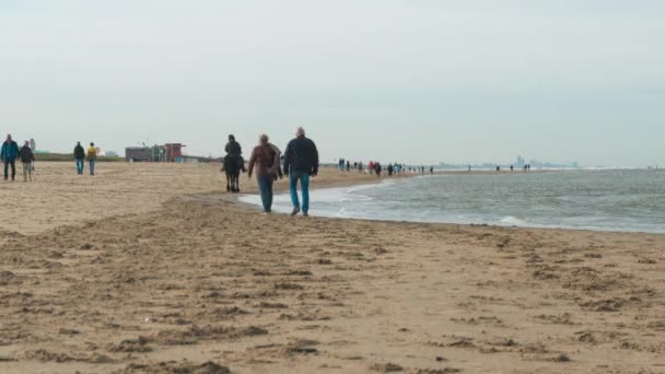 Calendário Pessoas Andando Cavalgando Praia Areia Katwijk Zuid Holland Países — Vídeo de Stock