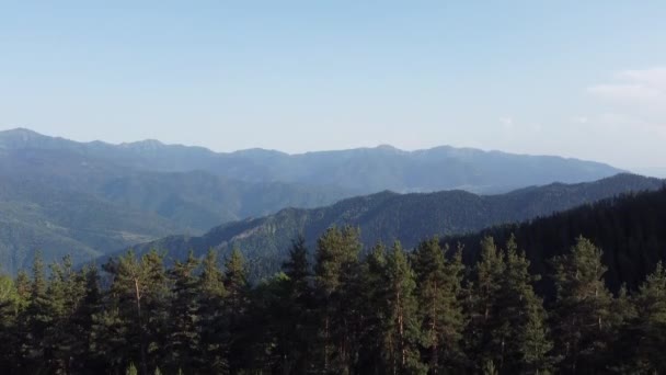 Revealing Aerial Shot Dense Forest Jungle Mountain Range Clear Blue — Stock Video
