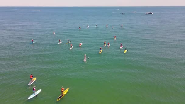 Рекреаційний Спорт Standup Paddle Boarding Показує Гонку Гонщиків Пляжі Rexhame — стокове відео