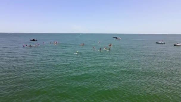 Aerial Sliding View Showing Standup Paddle Boarding Race Event Waters — Stock Video