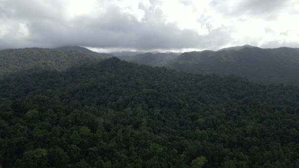 北クイーンズランドの広い森林の山の風景 オーストラリア空気 — ストック動画