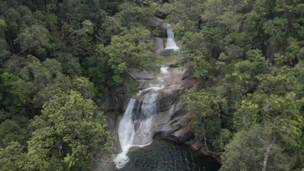 Hermosa Josephine Falls Bosque Queensland Australia Aérea — Vídeos de Stock