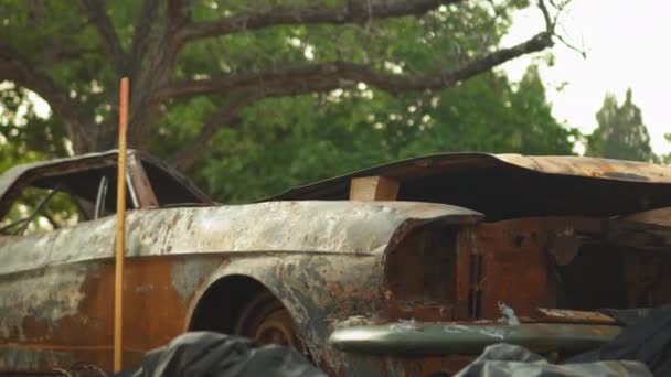 Ένα Σκουριασμένο Αμάξι Ανάμεσα Στα Σκουπίδια — Αρχείο Βίντεο