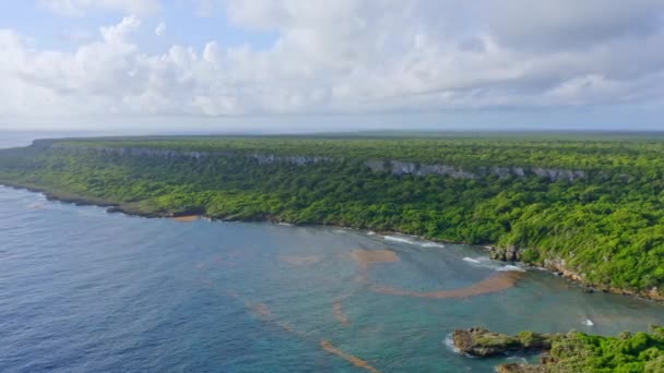 Drone Flight Reveals Plateau Verdant Tropical Jungle Cotubanama Dominican Republic — Stock Video