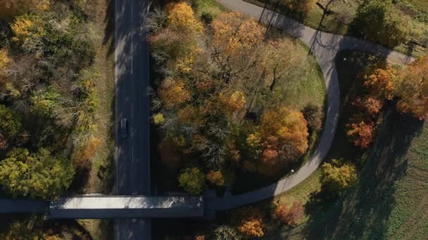 在乡村秋天的风景中驾驶汽车直接从上方拍摄 — 图库视频影像