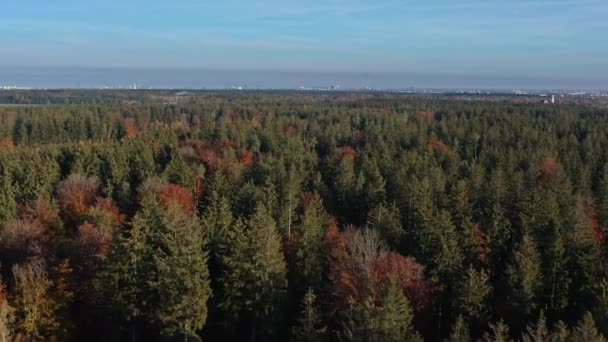 Luftaufnahme Der Skyline Von München Hinter Einem Nadelwald Herbst — Stockvideo