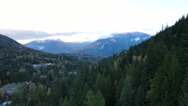 Imágenes Aéreas Vastas Coloridas Montañas Cubiertas Bosques Nelson Canadá Gran — Vídeos de Stock