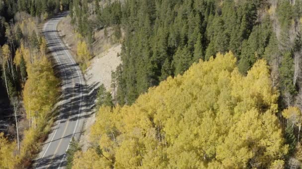 Secuencias Drones Camino Montaña Colorado Montañas Rocosas Madera Algodón Pasar — Vídeos de Stock