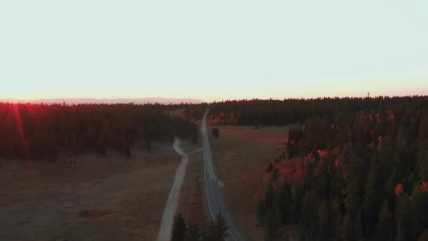 Στενό Επαρχιακό Δρόμο Μέσα Από Πευκοδάσος Φθινοπωρινά Φύλλα Ηλιοβασίλεμα Αεροφωτογραφία — Αρχείο Βίντεο