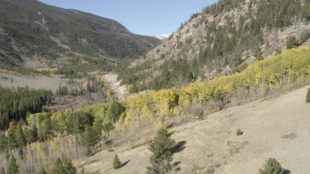 Flygdrönare Film Hösten Färger Och Asspen Träd Cottonwood Pass Klippiga — Stockvideo