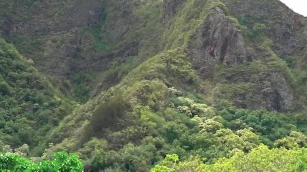 Tilt Shot Zielonej Tropikalnej Góry Dolinie Iao Maui Hawaje Jasnym — Wideo stockowe