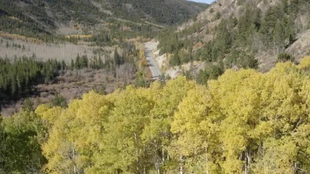 Flygdrönare Film Hösten Färger Och Asspen Träd Cottonwood Pass Klippiga — Stockvideo