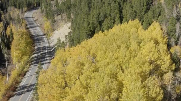 科罗拉多州落基山脉落叶松木山口秋色与杨树的空中无人机图像 — 图库视频影像