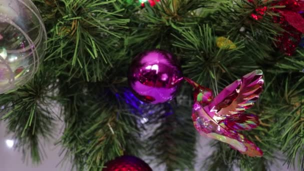 Kristallener Weihnachtsschmuck Pinkfarbener Kolibri Und Ball — Stockvideo
