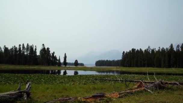 Nature Landscape Tilting Shot Heron Pond Hike Grand Teton National — Stock Video