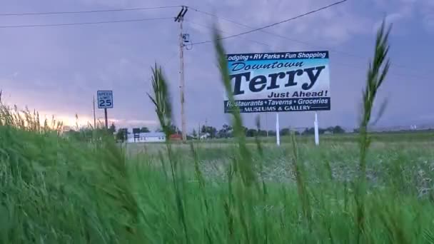 Strong Wind Waving Grains Dark Story Clouds Sky Terry Montana — Vídeo de Stock