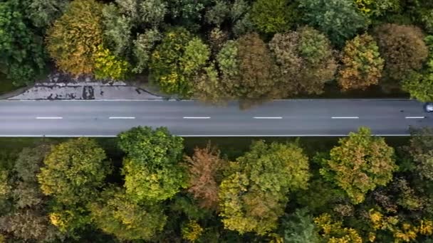 주황색 꼭대기에서 경치가 보이는 가을에 도로를 운전하며 몰지각하게 바라봄 — 비디오