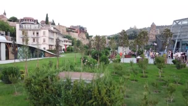Colpo Aereo Dietro Cespugli Rivelando Bel Parco Verde Paesaggistico Hotel — Video Stock