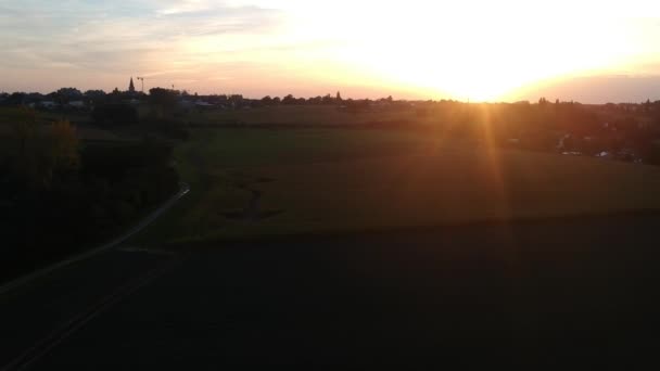 トウモロコシ畑の上に昇る太陽の空中パニングの眺め ベルギー — ストック動画