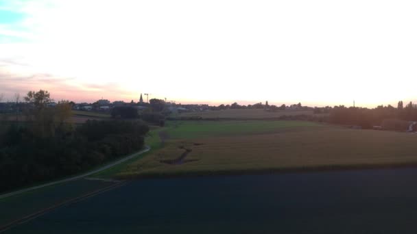 人間によって作成された矢印カットアウトとトウモロコシ畑の傾きと空中下降ビュー ベルギー — ストック動画