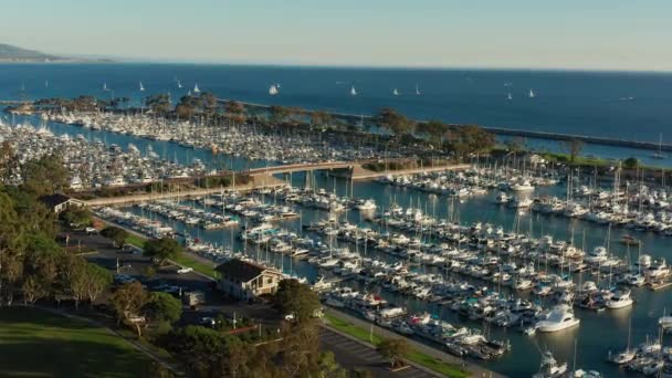 Vista Aerea Sul Porto Dana Point California — Video Stock