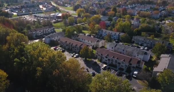 Drzewo Pokryte Dzielnicą Domów Miejskich Mieszkań Mieszkają Zarówno Najemcy Jak — Wideo stockowe