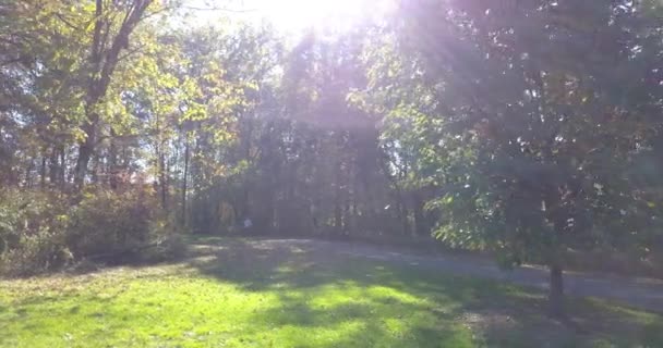 Людина Ходить Тренується Стежці Парку Лісі Постріл — стокове відео