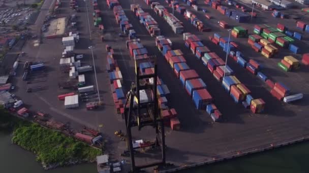 Αεροσκάφος Τροχιά Γύρω Από Γερανό Στοίβαξης Εμπορευματοκιβωτίων Στο Λιμάνι Haina — Αρχείο Βίντεο
