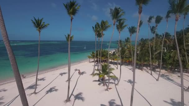 Drone Che Vola Tra Palme Sulla Spiaggia Bavaro Punta Cana — Video Stock