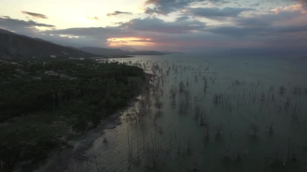 Kufry Drzew Liściastych Jeziorze Enriquillo Zachodzie Słońca Dominikana Przód Powietrza — Wideo stockowe