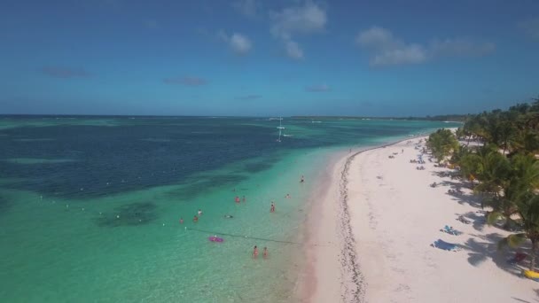 Stranden Bavaro Vid Punta Cana Dominikanska Republiken Flyg Framåt — Stockvideo