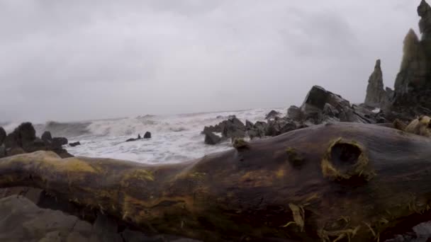 Arambol Strand Moesson Goa Water Golven Crashen Rotsen Zee Schuim — Stockvideo