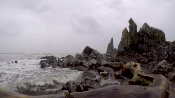 Plaża Arambol Monsunie Goa Fale Wodne Rozbijają Się Skały Pianę — Wideo stockowe